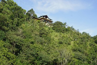 Sri Lanka Ella 'daki dağların manzaralı yeşil manzarası.