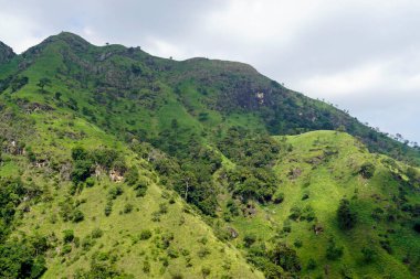 Sri Lanka Ella 'daki dağların manzaralı yeşil manzarası.