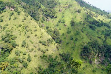 Sri Lanka Ella 'daki dağların manzaralı yeşil manzarası.