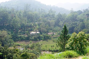 Sri Lanka 'da Ella yakınlarındaki zengin tarım bölgesi