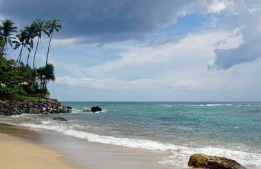 Mirissa, Sri Lanka 'daki egzotik tropik plajlar.