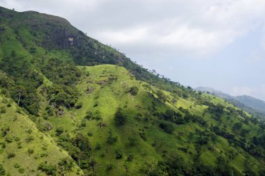 Sri Lanka Ella 'daki dağların manzaralı yeşil manzarası.