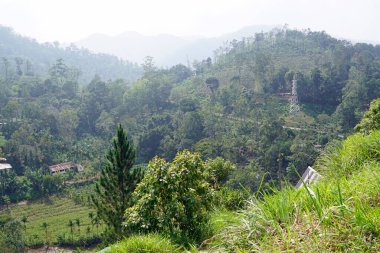Sri Lanka 'da Ella yakınlarındaki zengin tarım bölgesi