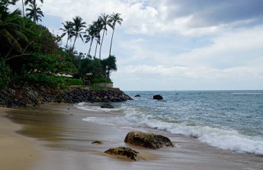 Mirissa, Sri Lanka 'daki egzotik tropik plajlar.