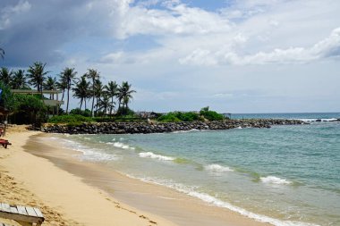 Mirissa, Sri Lanka 'daki egzotik tropik plajlar.