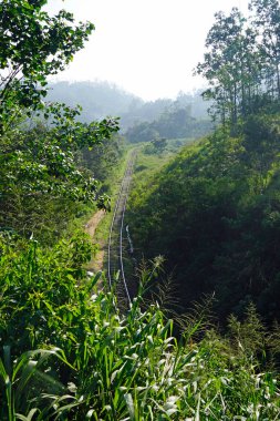 Sri Lanka Ella 'daki dağların manzaralı yeşil manzarası.