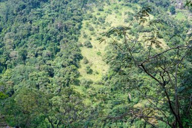 Sri Lanka Ella 'daki dağların manzaralı yeşil manzarası.