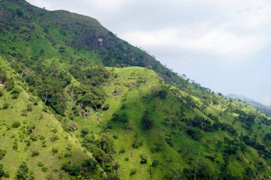 Sri Lanka Ella 'daki dağların manzaralı yeşil manzarası.