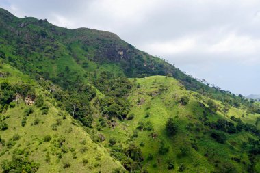 Sri Lanka Ella 'daki dağların manzaralı yeşil manzarası.