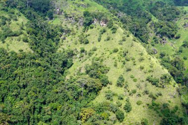 Sri Lanka Ella 'daki dağların manzaralı yeşil manzarası.