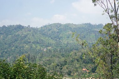 Sri Lanka Ella 'daki dağların manzaralı yeşil manzarası.