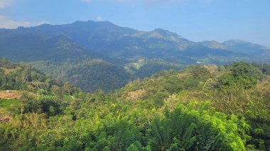 Sri Lanka Ella 'daki dağların manzaralı yeşil manzarası.