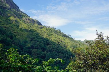 Sri Lanka Ella 'daki dağların manzaralı yeşil manzarası.
