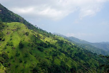 Sri Lanka Ella 'daki dağların manzaralı yeşil manzarası.