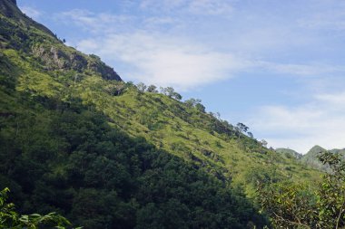 Sri Lanka Ella 'daki dağların manzaralı yeşil manzarası.