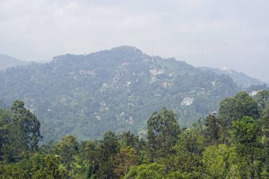 Sri Lanka Ella 'daki dağların manzaralı yeşil manzarası.