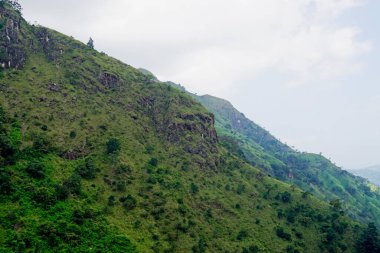 Sri Lanka Ella 'daki dağların manzaralı yeşil manzarası.
