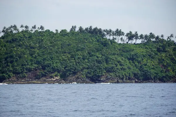 Sri Lanka 'daki Mirissa' dan yeşil tropikal sahil