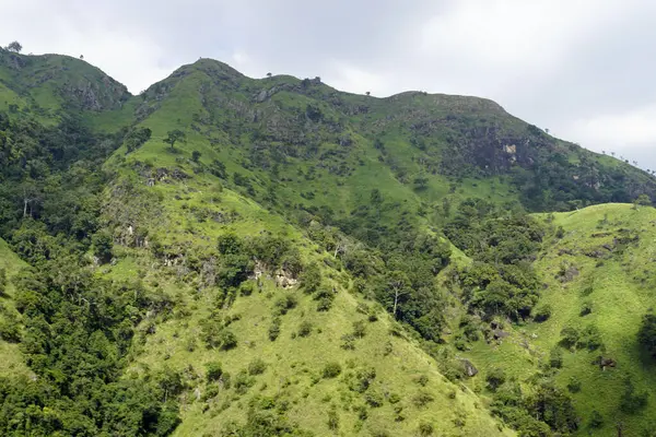 Sri Lanka Ella 'daki dağların manzaralı yeşil manzarası.