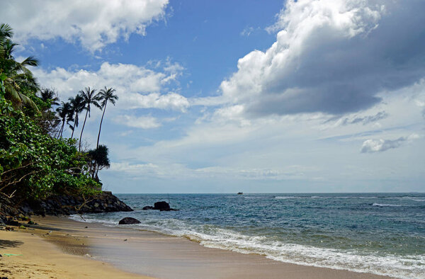 exotic tropical beach in mirissa in sri lanka