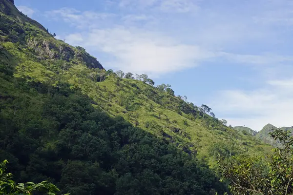 Sri Lanka Ella 'daki dağların manzaralı yeşil manzarası.