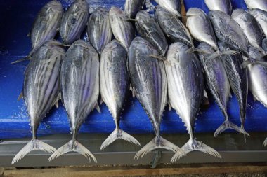 Sri Lanka 'daki yerel bir markette taze deniz ürünleri.