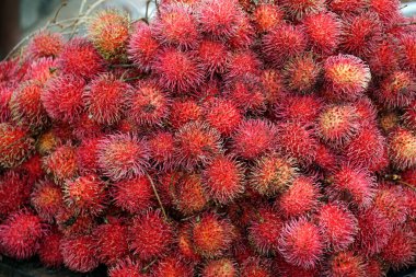 Ella 'daki yerel çiftçi pazarından taze meyve.