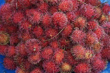 Ella 'daki yerel çiftçi pazarından taze meyve.