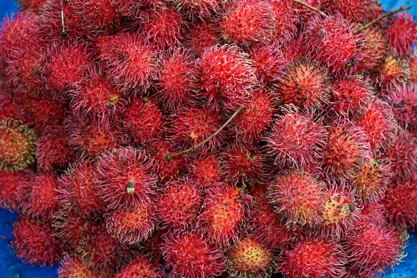 Ella 'daki yerel çiftçi pazarından taze meyve.