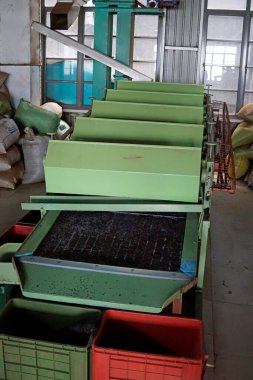 sri Lanka çay fabrikası