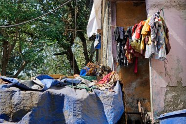 Hindistan 'da Mumbai' de basit bir balıkçı bölgesi.