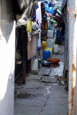 Hindistan 'da Mumbai' de basit bir balıkçı bölgesi.