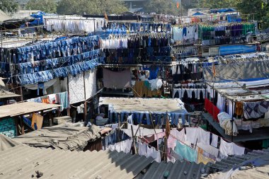 Mumbai, Hindistan 'daki Dhobi ghat gecekondu mahallesinde çamaşırhane.