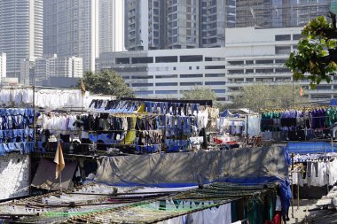 Mumbai, Hindistan 'daki Dhobi ghat gecekondu mahallesinde çamaşırhane.