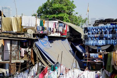 Mumbai, Hindistan 'daki Dhobi ghat gecekondu mahallesinde çamaşırhane.