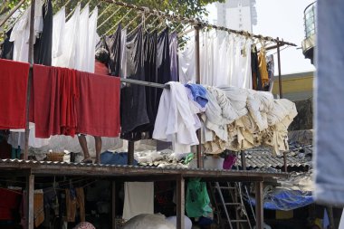 Mumbai, Hindistan 'daki Dhobi ghat gecekondu mahallesinde çamaşırhane.
