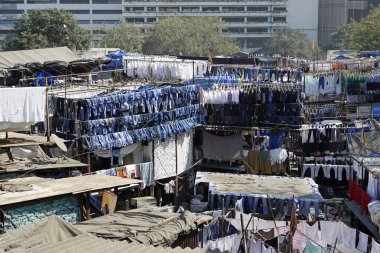 Mumbai, Hindistan 'daki Dhobi ghat gecekondu mahallesinde çamaşırhane.