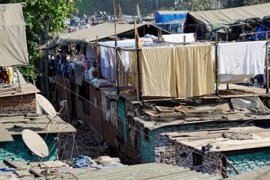 Mumbai, Hindistan 'daki Dhobi ghat gecekondu mahallesinde çamaşırhane.