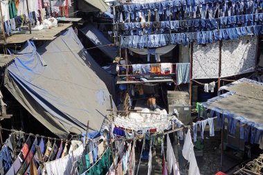 Mumbai, Hindistan 'daki Dhobi ghat gecekondu mahallesinde çamaşırhane.