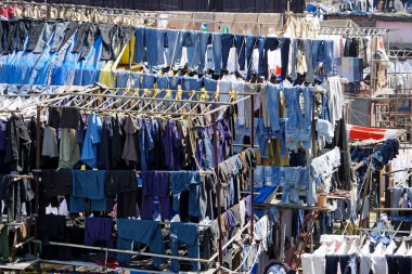 Mumbai, Hindistan 'daki Dhobi ghat gecekondu mahallesinde çamaşırhane.