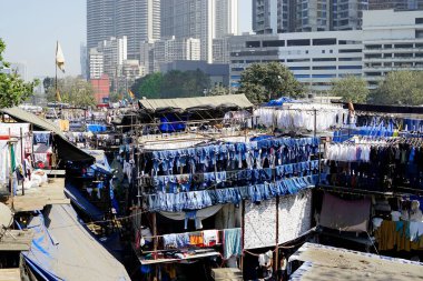 Mumbai, Hindistan 'daki Dhobi ghat gecekondu mahallesinde çamaşırhane.