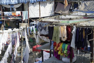 Mumbai, Hindistan 'daki Dhobi ghat gecekondu mahallesinde çamaşırhane.