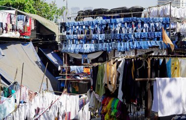 Mumbai, Hindistan 'daki Dhobi ghat gecekondu mahallesinde çamaşırhane.