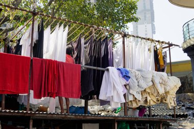 Mumbai, Hindistan 'daki Dhobi ghat gecekondu mahallesinde çamaşırhane.