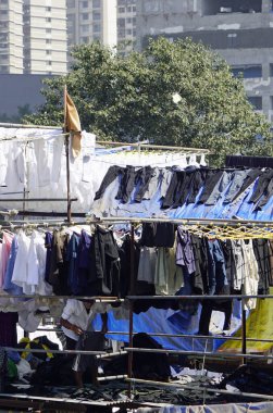 Mumbai, Hindistan 'daki Dhobi ghat gecekondu mahallesinde çamaşırhane.