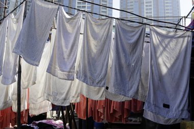 Mumbai, Hindistan 'daki Dhobi ghat gecekondu mahallesinde çamaşırhane.