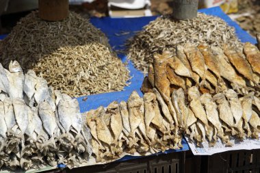 Hindistan 'da Mumbai' de yerel bir markette balık.