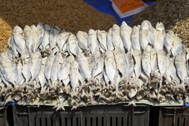 Hindistan 'da Mumbai' de yerel bir markette balık.