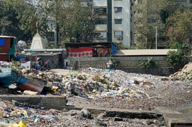 Mumbai, Hindistan 'da bir balıkçı bölgesinde çöplük.