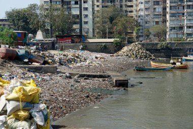 Mumbai, Hindistan 'da bir balıkçı bölgesinde çöplük.
